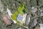 8G Tawa Street, Eastbourne, Lower Hutt - Carousel 33