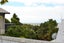 19 Paremata Street, Atawhai, Nelson - Carousel 13