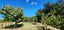 27 Kanuka Rise, Thames - Carousel 17