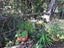 1/22 Neptune Avenue, Beach Haven, Auckland - Carousel 28