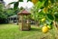 101 Monrad Street, Highbury, Palmerston North - Carousel 34