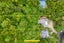 54 Wood Bay Road, Titirangi, Auckland - Carousel 33