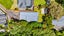263A Huatoki Street, Upper Vogeltown, New Plymouth - Carousel 21