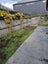 24B Collins Street, Addington, Christchurch - Carousel 2