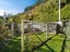153 Malvern Street, Woodhaugh, Dunedin - Carousel 16