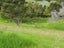 5 Willow Point Road, Te Kuiti - Carousel 10