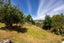 133 Noema Terrace, Lake Hawea, Lake Hāwea - Carousel 20
