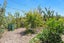 59 Martin Road, Paraparaumu Beach, Paraparaumu - Carousel 23