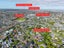 3/19 Waterloo Street, Howick, Auckland - Carousel 20