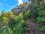498 Wyuna Bay Road, Wyuna Bay, Coromandel - Carousel 14