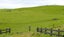 361 Martin Road, Waerenga - Carousel 11