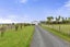 162 Checkley Road, Raglan - Carousel 28