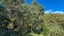 10 Eames Crescent, Te Mata - Carousel 20