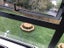 7/38 Edmonton Road, Henderson, Auckland - Carousel 14