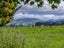 3509 State Highway 2, Clareville, Carterton - Carousel 11