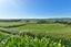 0 Settlers Road, Reporoa, Reporoa - Carousel 18
