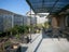 31 Ihimaera Terrace, Leamington, Cambridge - Carousel 2