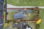 51 Mansel Avenue, Hillcrest, Hamilton - Carousel 14