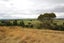 131 Talbot Street, East Gore, Gore - Carousel 22
