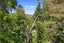 190 Dinsdale Road, Dinsdale, Hamilton - Carousel 21