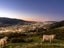 153 Bing Lucas Drive, Tawa, Wellington - Carousel 25
