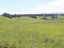 222 Armstrong Road, Dannevirke - Carousel 15