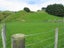 958 Ohariu Valley Road, Ohariu, Wellington - Carousel 18