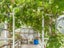 527A Hokio Beach Road, Hokio Beach, Levin - Carousel 18