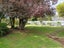 59 Apatu Street, Wairoa, Wairoa - Carousel 21
