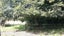 32 POWERHOUSE RD, Westport , Westport - Carousel 14