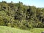 543 Three Mile Bush Road, Te Kamo, Whangarei - Carousel 23