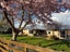 133 Collinson Street, Pirongia, Pirongia - Carousel 2