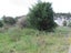 0 Wylie Road, Foxton Beach, Foxton - Carousel 3