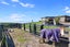 154B Fraser Road, Waiotahe, Opotiki - Carousel 23