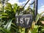 187 Victoria Avenue, Hokowhitu, Palmerston North - Carousel 5