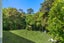 89 Glen Brook Road, Omiha, Waiheke Island - Carousel 3