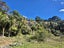 1797 Colville Road, Amodeo Bay - Carousel 2