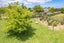 26 Budge Street, Mayfield, Blenheim - Carousel 3