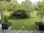 141C Churton Drive, Churton Park, Wellington - Carousel 15