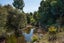 550E Cuff Road, Erua - Carousel 36