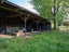 617 Dunkirk Road, Atiamuri - Carousel 18