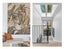 41B Harvey Street, Tauranga South, Tauranga - Carousel 6