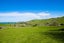 51 Scarlys Way, Okitu, Gisborne - Carousel 10