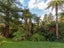 10 Gallagher Street, Springfield, Rotorua - Carousel 11