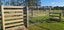 348 Kaimaumau Road, Waiharara, Awanui - Carousel 23