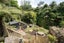 55 Bruce Avenue, Glenview, Hamilton - Carousel 2