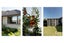 21 Galloway Crescent, Pyes Pa, Tauranga - Carousel 21