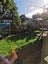 19A King Edward Avenue, Epsom, Auckland - Carousel 20