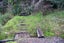 100 Wairoa Gorge Road, Wairoa Valley - Carousel 20