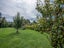 35 Onekaka Iron Works Road, Takaka - Carousel 19